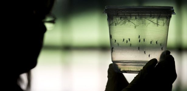 Ações contra Aedes precisam ir além dos locais de competição, dizem especialistas