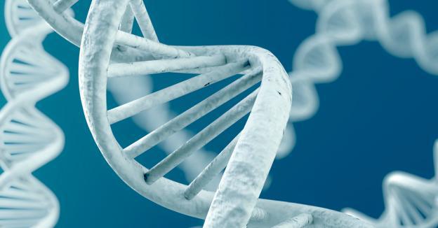 Edição gênica corta e muda DNA para combater doenças como a malária