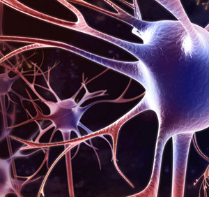Estudos recentes trazem esperança para o enfrentamento do Alzheimer
